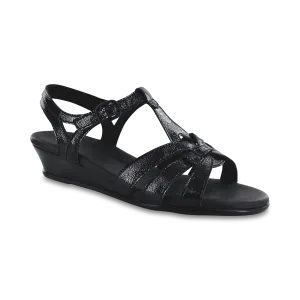 Aurora Carbon