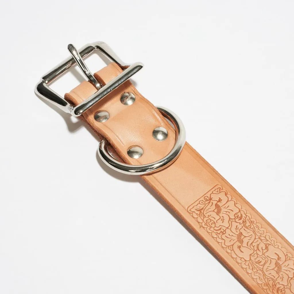 Deluxe Leather Dog Collar