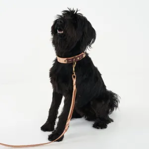 Deluxe Leather Dog Collar