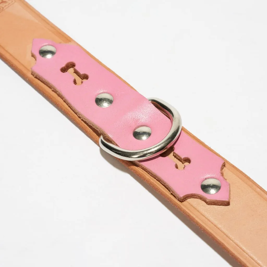 Deluxe Leather Dog Collar
