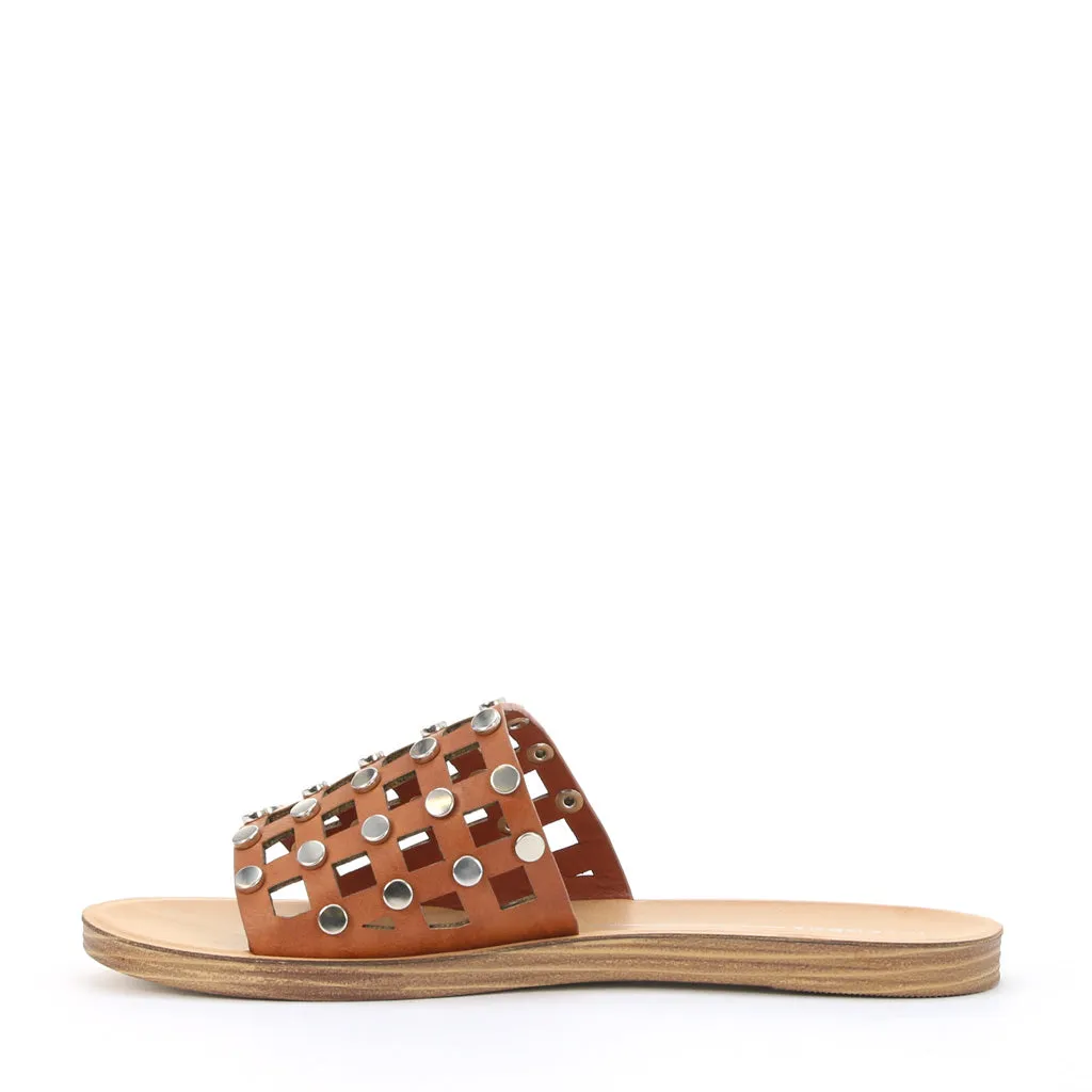 Evi Slides