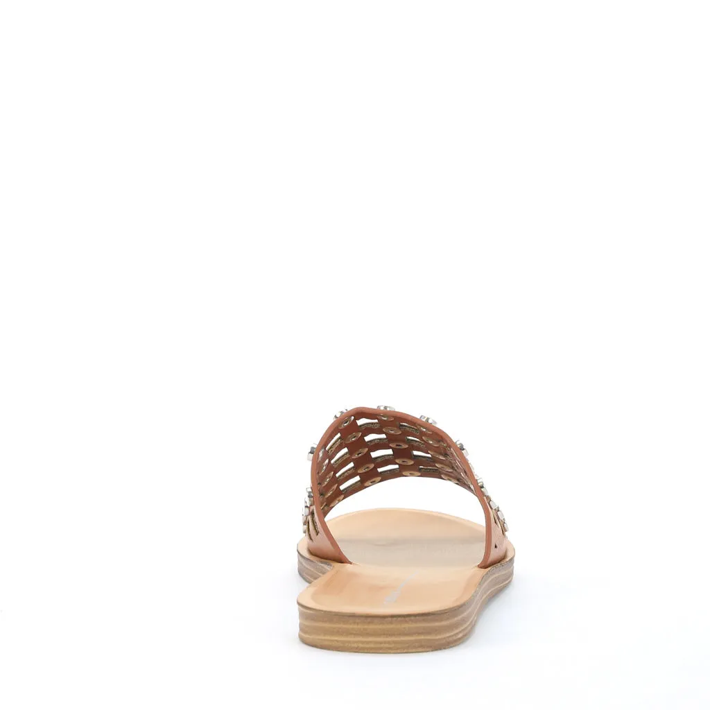 Evi Slides