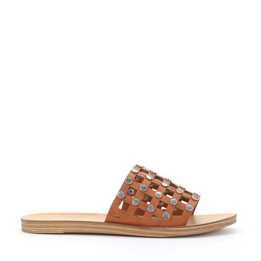 Evi Slides