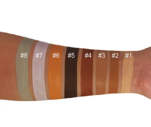 Perfect Canvas Oil Control Concealer - MQO 25 pcs