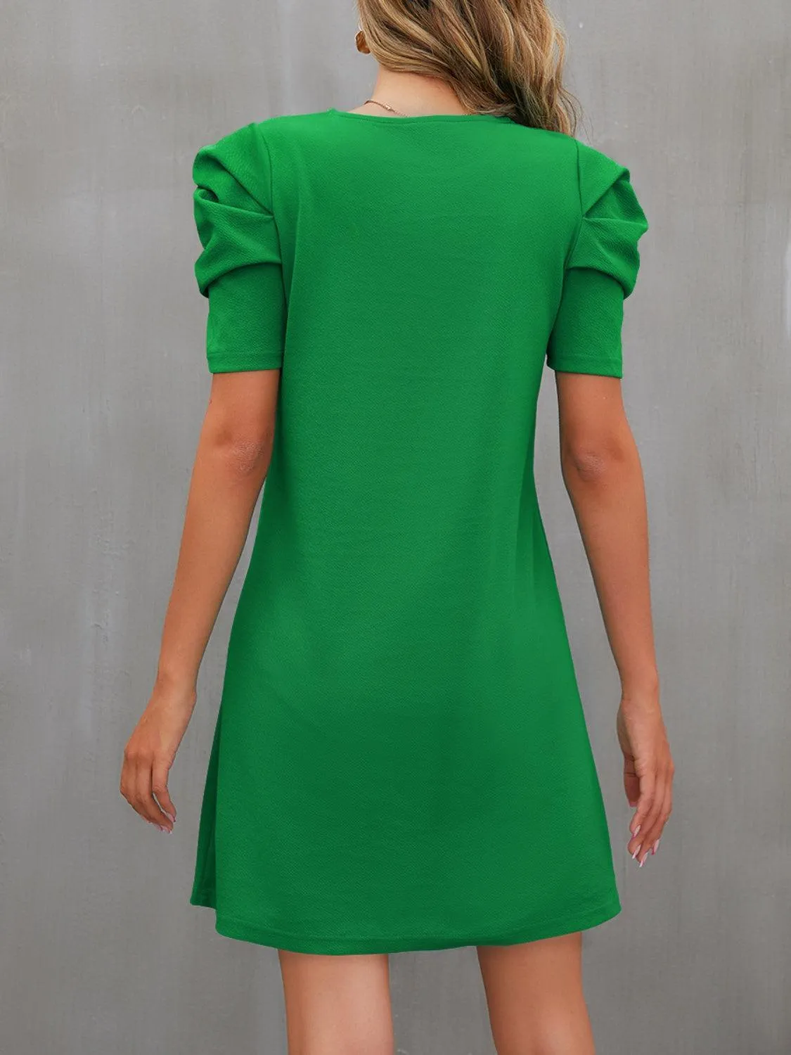 Sassy Crew Neck Puff Sleeve Shift Dress