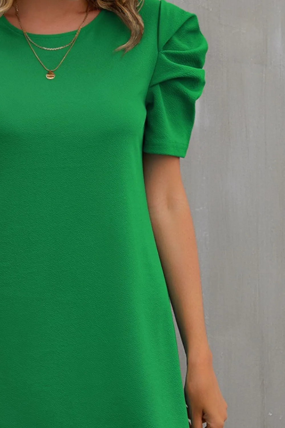 Sassy Crew Neck Puff Sleeve Shift Dress